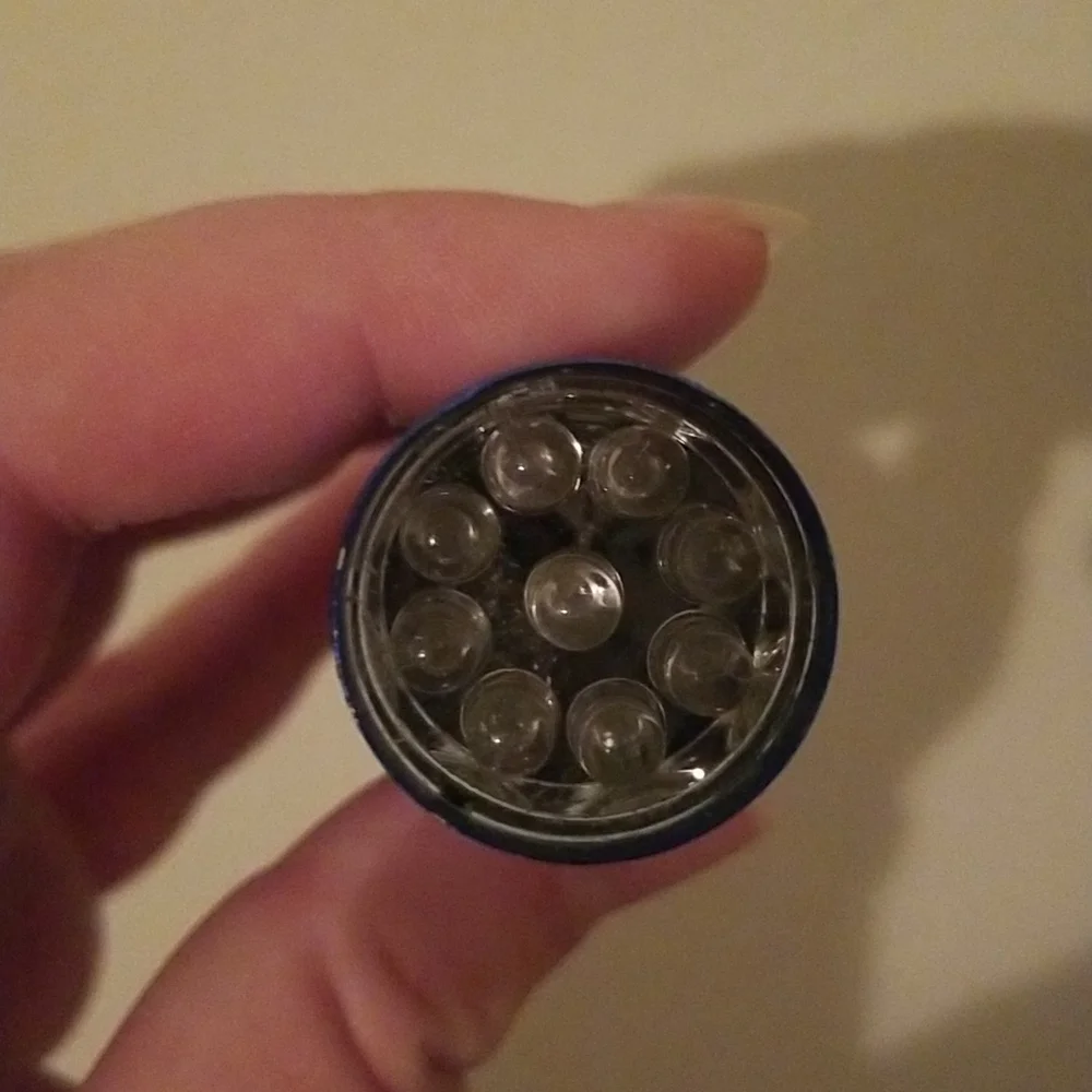 Blacklight flashlight